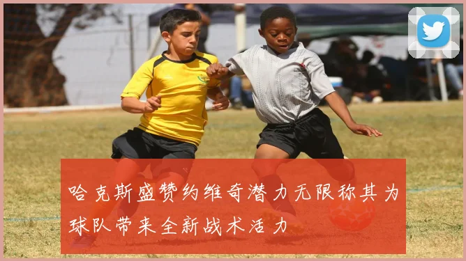 哈克斯盛赞约维奇潜力无限称其为球队带来全新战术活力