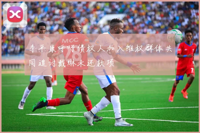 李平康呼吁债权人加入维权群体共同追讨戴琳未还款项