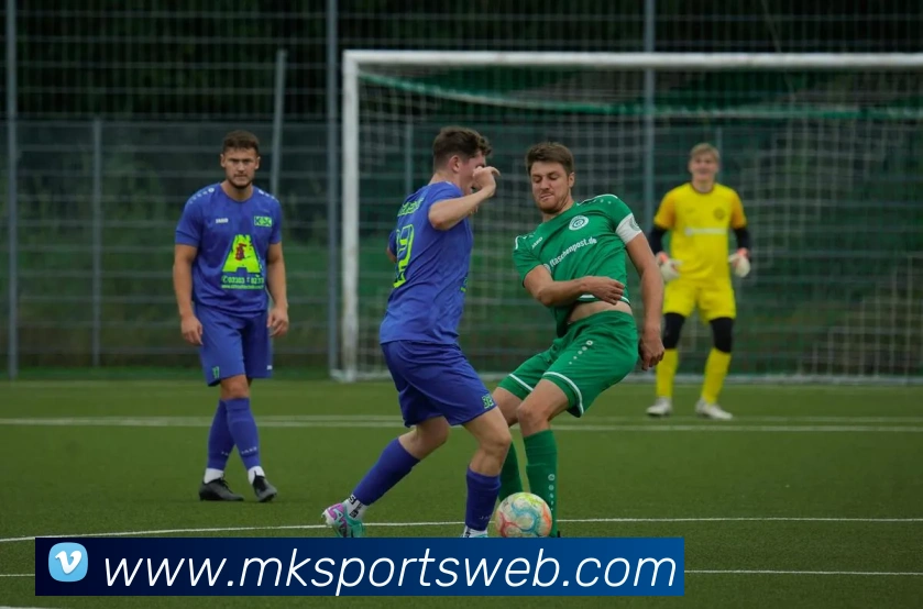 MK体育服务体系