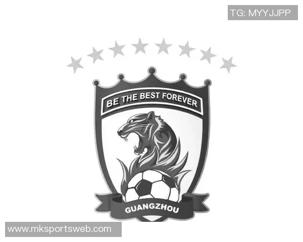 广州豹官方回应个别球迷违法行为公安已介入处理确保赛场秩序