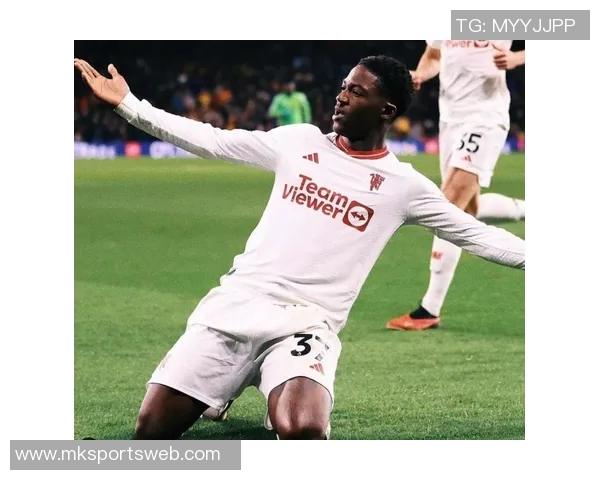 曼联对安德森沃顿巴莱巴感兴趣梅努未来发展仍不明朗 曼联对安德森沃顿巴莱巴感兴趣梅努未来发展仍不明朗